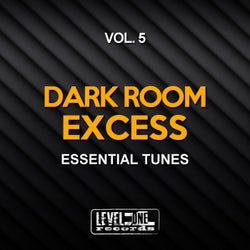 Dark Room Excess, Vol. 5 (Essential Tunes)