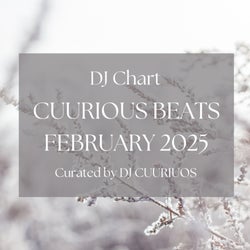 CUURIOUS BEATS FEBRUARY 2025