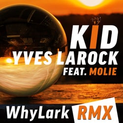 Kid - Whylark RMX