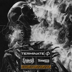 TERMINATE