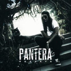 Pantera