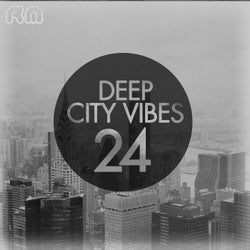 Deep City Vibes, Vol. 24
