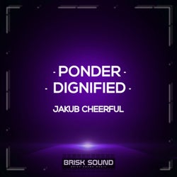 Ponder / Dignified