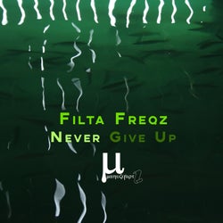 Never Give Up