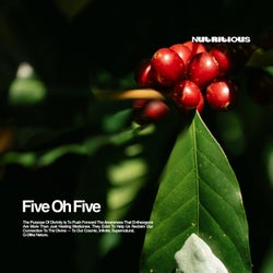 Five Oh Five