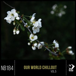 Our World Chillout, Vol. 5