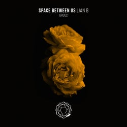 Space Between Us