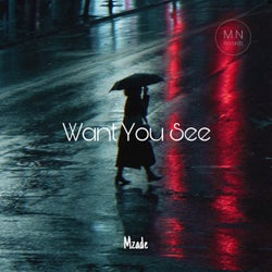 Want You See