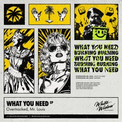 What You Need EP