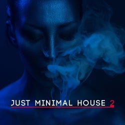 Just Minimal House, Vol. 2