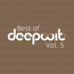 Best of DeepWit, Vol. 5