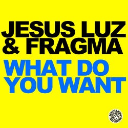 What Do You Want (Mixes)
