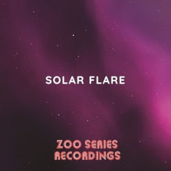 Solar Flare