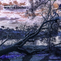 Winter Sound