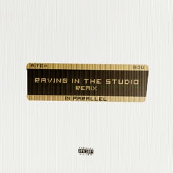 Raving In The Studio (IN PARALLEL Remix)