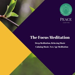 The Focus Meditation (Deep Meditation, Relaxing Music, Calming Music, New Age Meditation)