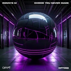 Choice You Never Made