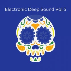 Electronic Deep sound Vol.5
