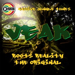 Roots reality