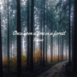 Once Upon a Time in a Forest