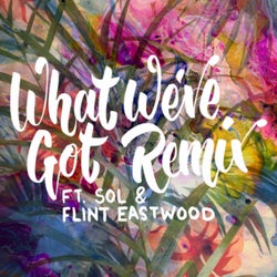 What We've Got (feat. Flint Eastwood) [SOL Remix]