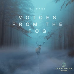 Voices From The Fog (Original Mix)
