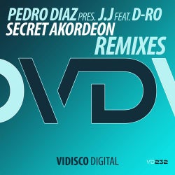 Secret Akordeon (Remix Contest)