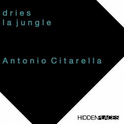 Antonio Citarella Dries 2018 Chart