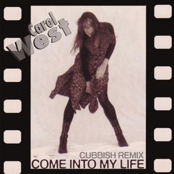 Come Into My Life (Cubbish Remix)