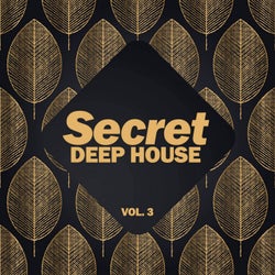 Secret Deep House, Vol. 3