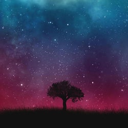 Sky (feat. Lucas Condeni)