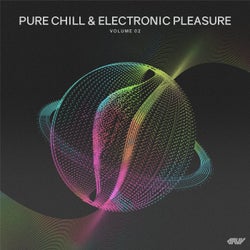 Pure Chill & Electronic Pleasure, Vol.02