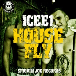 HouseFly