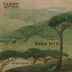 Valea Ierii