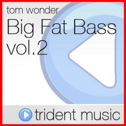 Big Fat Bass vol. 2
