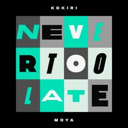 Never Too Late (Extended Mix)