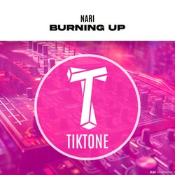Burning Up 