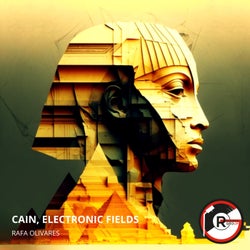 Cain, Electronic Fields