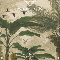 White Lotus