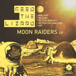 Moon Raiders EP