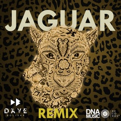 Remix Jaguar