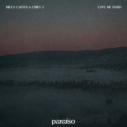 Love Me Hard