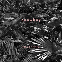 Snowboy