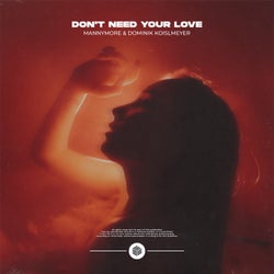 Don't Need Your Love (Extended Mix)