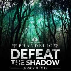 Defeat the Shadow (Joscy Remix)