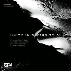 UNITY IN DIVERITY 01