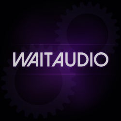 WaitAudio