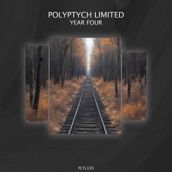 Polyptych Limited: Year Four