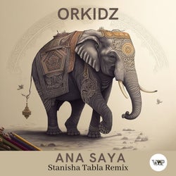 Ana Saya (Stanisha Tabla Remix)