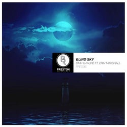 Blind Sky (The Remixes, Pt. 2)